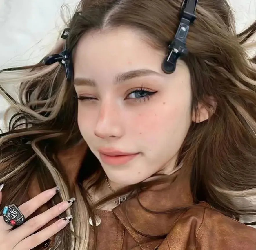 燕子盗